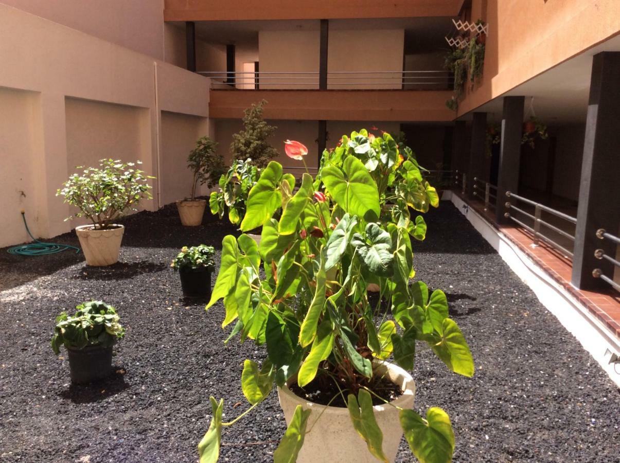 Апартаменты Martianez Puerto de la Cruz  Exterior photo
